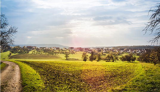 創(chuàng)收創(chuàng)富，產(chǎn)業(yè)扶貧